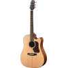 Walden WAD550CEW Steel String Guitar, Dreadnought Cut, Solid Top, OP Finish, EQ, Gigbag