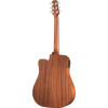 Walden WAD550CEW Steel String Guitar, Dreadnought Cut, Solid Top, OP Finish, EQ, Gigbag