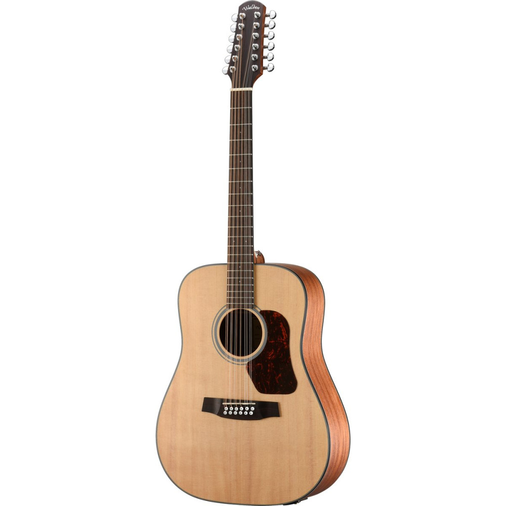 Walden WAD552EW Steel String Guitar, 12-String, Dreadnought, Solid Top, matt, E Q, Gigbag