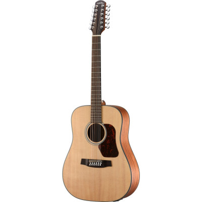 Walden WAD552EW Steel String Guitar, 12-String, Dreadnought, Solid Top, matt, E Q, Gigbag