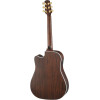 Walden WAD603CEW Steel String Guitar, Dreadnought Cutaway, solid Top, Satin, EQ, Gig Bag