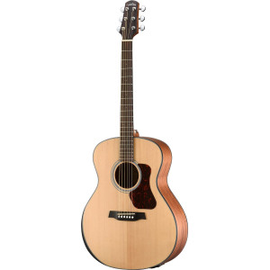 Walden WAG550REW Steel String Guitar, Grand Auditorium, Solid Top, OP Finish, EQ , Gigbag