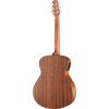 Walden WAG551EW Steel String Guitar, Gr. Aud., Mahogony Solid Top, OP Finish, E Q, Gigbag