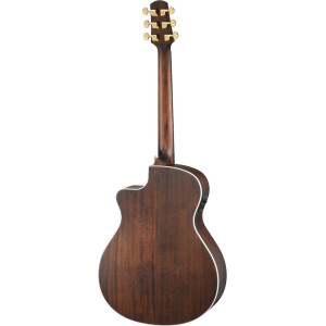 Walden WAG633CEW Steel String Guitar, Grand Auditorium Cut, Solid Top, Satin, EQ , Gigbag