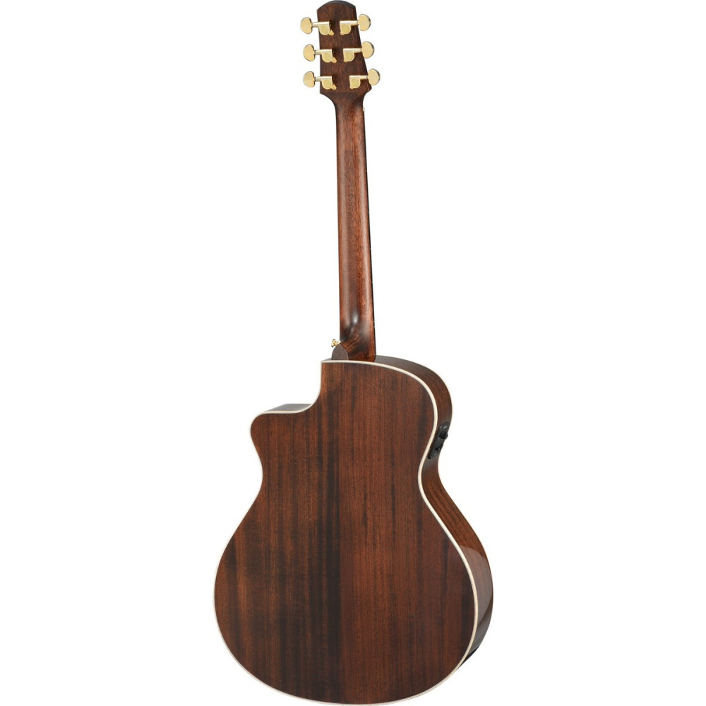 Walden WAG633RCE-G-W Steel String Guitar, Grand Auditorium Cut, armrest, gloss, EQ, Bag