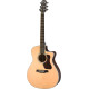 Walden WAG803CEW Steel String Guitar, Grand Auditorium cutaway, all-solid, satin , EQ, Bag