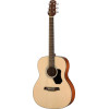 Walden WAO450W Steel String Guitar, Orchestra Model, Solid Top, Gloss Finish, Gigbag