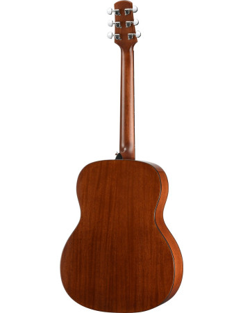 Walden WAO450W Steel String Guitar, Orchestra Model, Solid Top, Gloss Finish, Gigbag