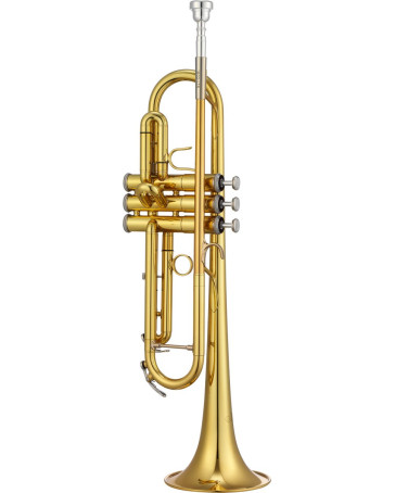 XO Brass XO1602GLLTR XO Bb Trumpet, Light, gold-lacquered, reversed,