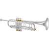 XO Brass XO1602RSS4 XO Bb Trumpet, silver-plated, 122mm, Rose brass