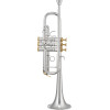 XO Brass XO1624RSR XO C Trumpet, silver-plated, Reversed, Rose brass