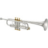 XO Brass XO1624RSR XO C Trumpet, silver-plated, Reversed, Rose brass