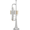 XO Brass XO1624RSS XO C Trumpet, silver-plated, Rose brass