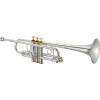 XO Brass XO1624RSS XO C Trumpet, silver-plated, Rose brass