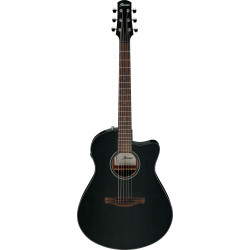 Ibanez AAM340CE-RUB