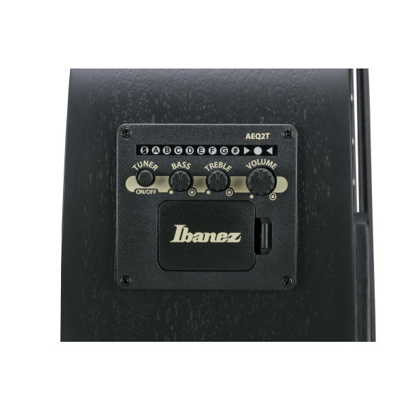 IBANEZ AEGB Acoustic Bass 4-String - Black Out