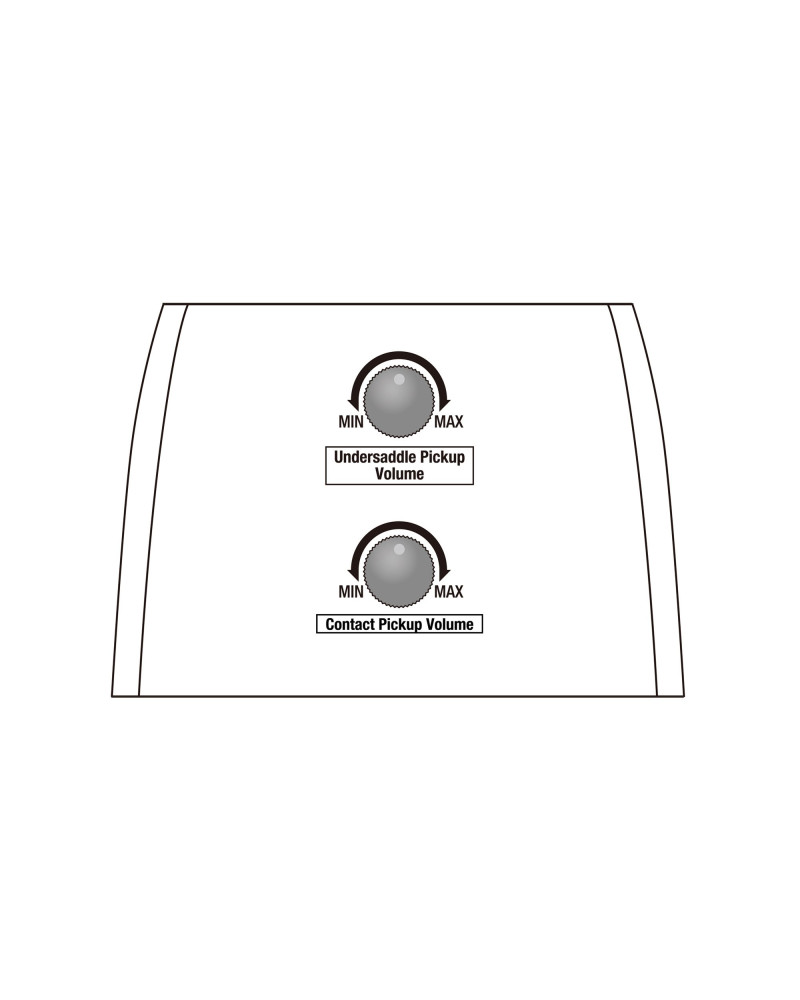 IBANEZ GA Classical Guitar 6-String - Natural High Gloss