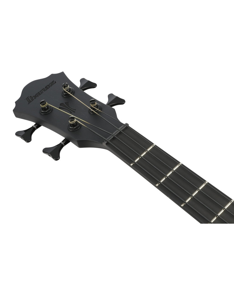 IBANEZ AEGB Acoustic Bass 4-String - Black Out