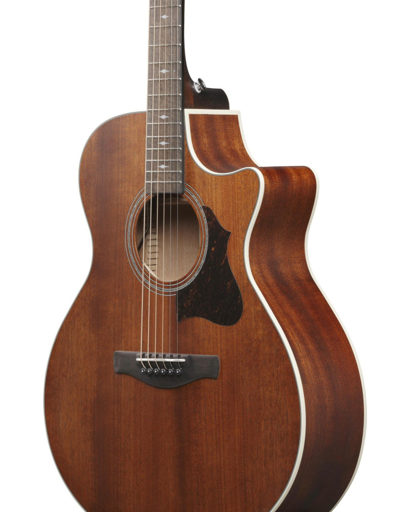 IBANEZ AE Acoustic Guitar 6-String - Open Pore Natural