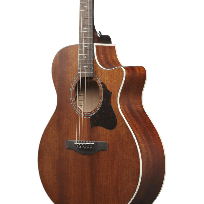 IBANEZ AE Acoustic Guitar 6-String - Open Pore Natural