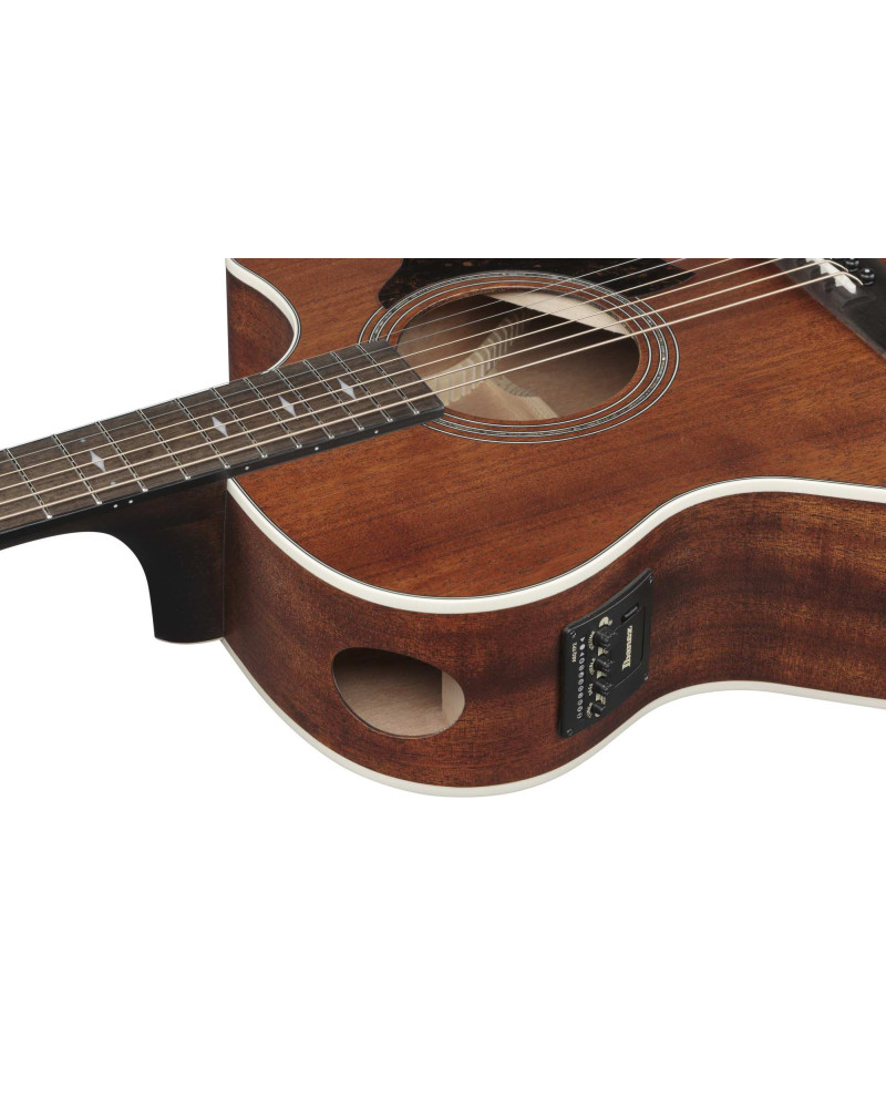 IBANEZ AE Acoustic Guitar 6-String - Open Pore Natural