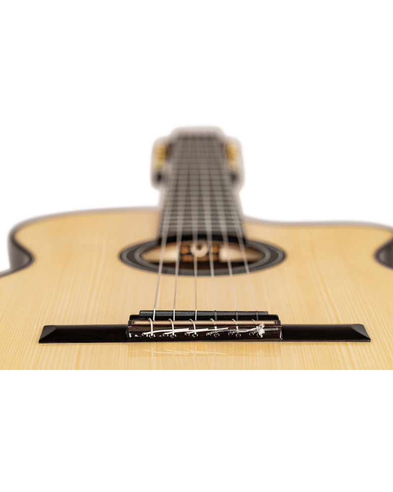 ORTEGA The Private Room 4/4 Nylon String Guitar 6-String + Gig Bag