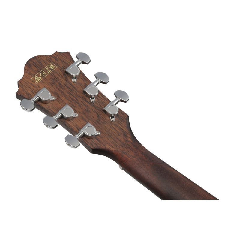 IBANEZ AE Acoustic Guitar 6-String - Open Pore Natural