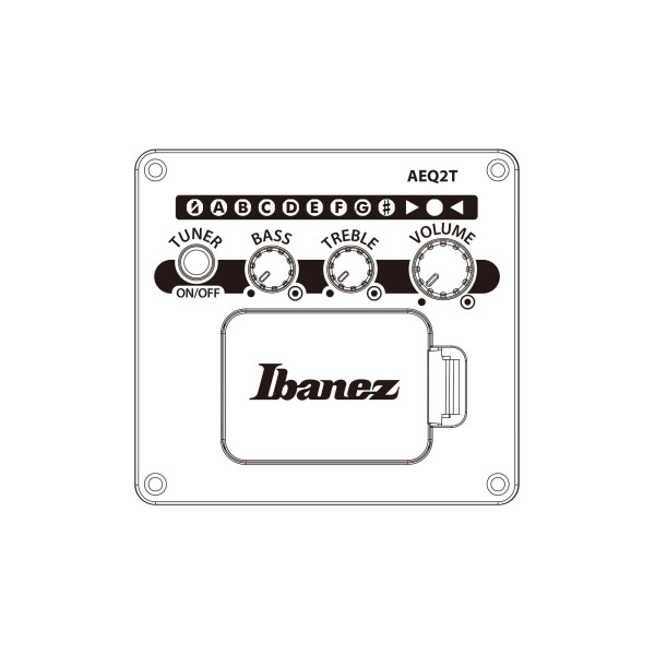 IBANEZ AEGB Acoustic Bass 4-String - Black Out
