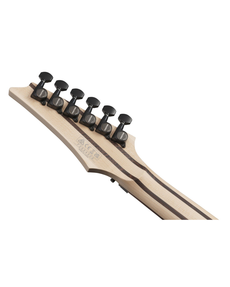 Ibanez RG8620AH-AGF j.custom RG Electric Guitar 6-String - Anvil Gray Burst Flat + Case