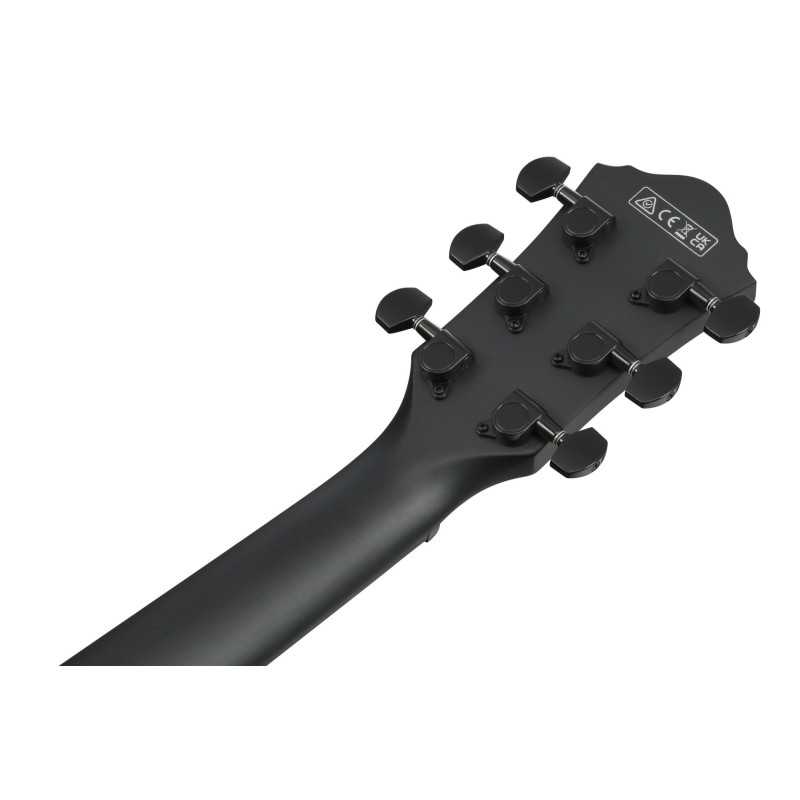 IBANEZ AEW Acoustic Guitar 6-String Lefty - Black Out