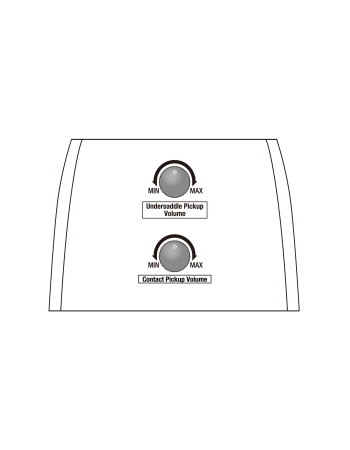 IBANEZ GA Classical Guitar 6-String - Natural High Gloss