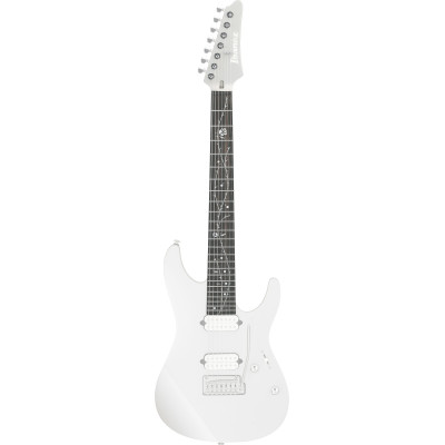 IBANEZ 6-Str Guitar Neck For TOD70