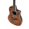 Ovation E – akustická kytara Celebrity Standard Plus Mid Cutaway Nutmeg Burled Maple