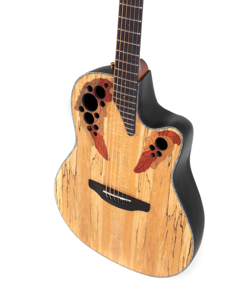 Ovation E – akustická kytara Celebrity Elite Plus Mid Cutaway Natural Spalted Maple