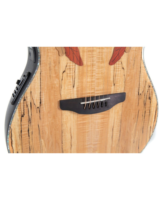 Ovation E – akustická kytara Celebrity Elite Plus Mid Cutaway Natural Spalted Maple